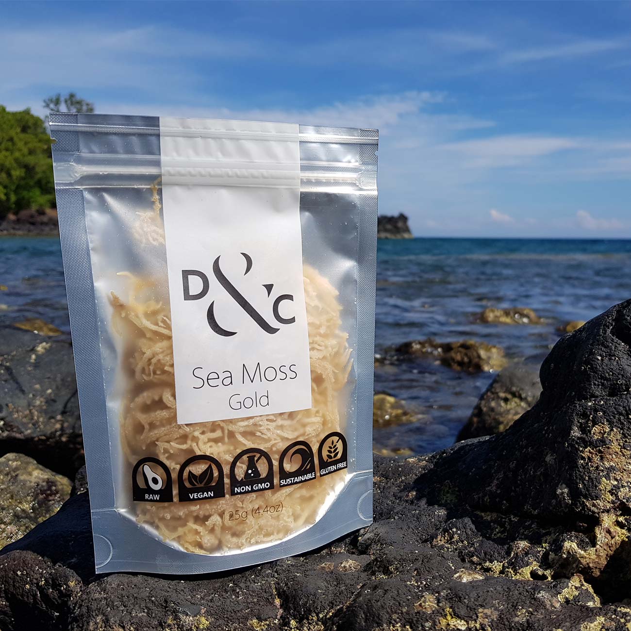 sea moss 125g bag photographed on a rocky sunny beach